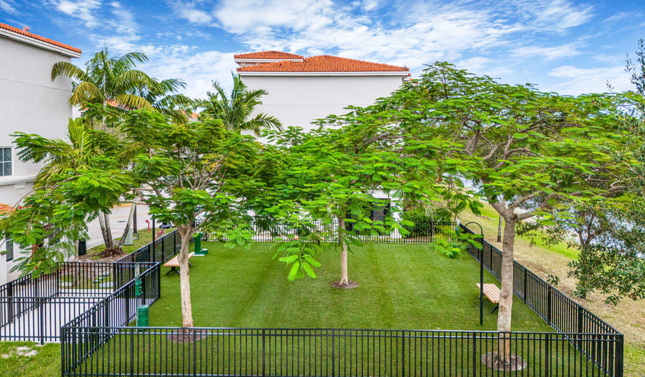 City Center on 7th Apartments - Pembroke Pines, FL - dog park