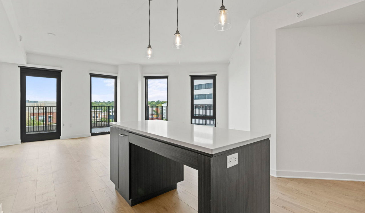 The Elm - Bethesda, MD - Living Room