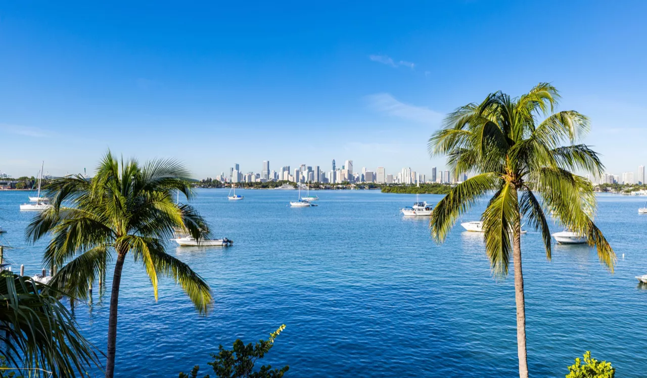 Flamingo Point - Miami, FL - View