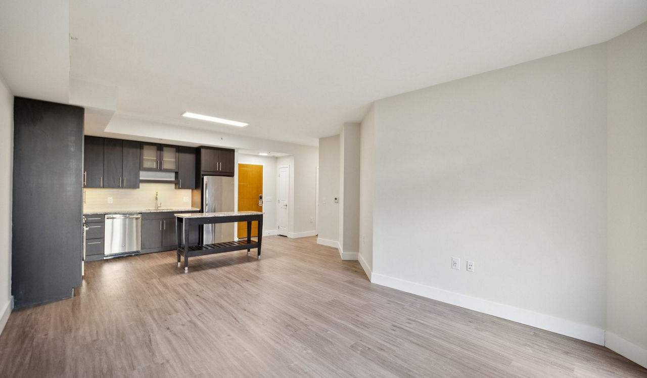 Flats 8300 - Bethesda, MD - living room