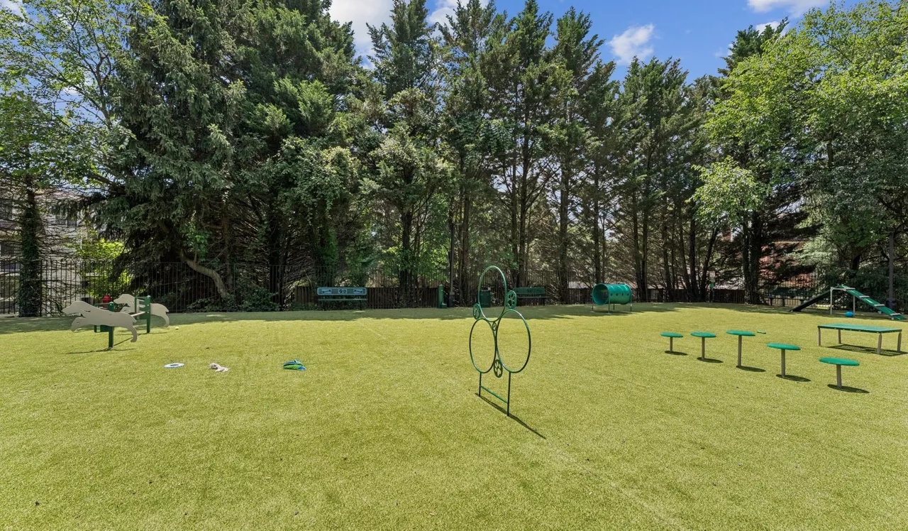 Foxchase - Alexandria VA - dog park