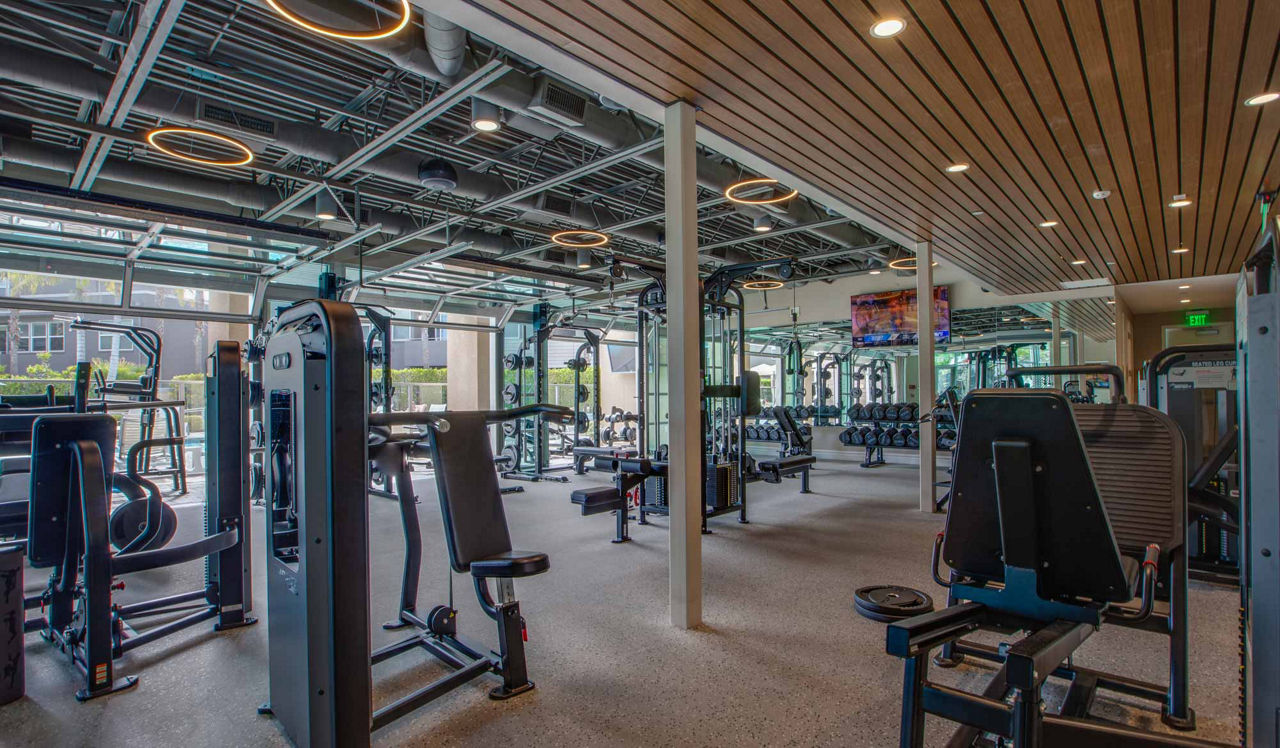 Lincoln Place - Venice, CA - Gym