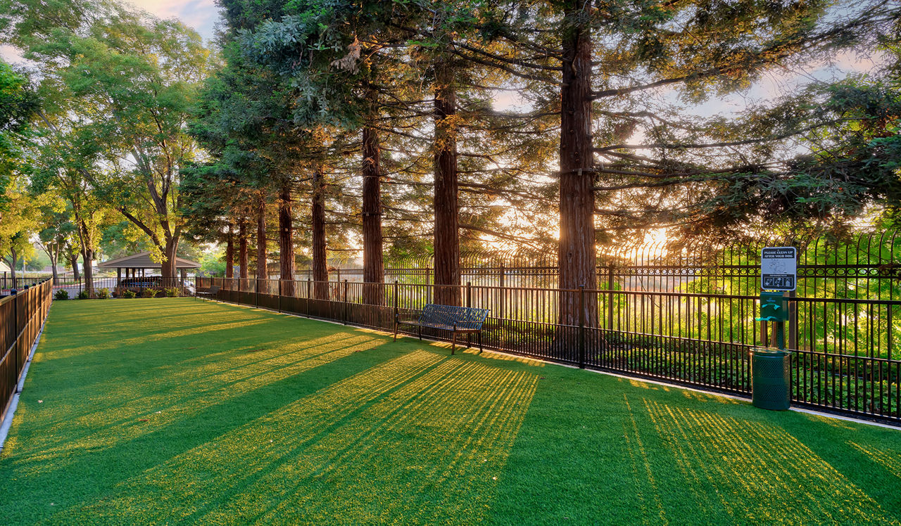 Monterey Grove - San Jose, CA - dog park
