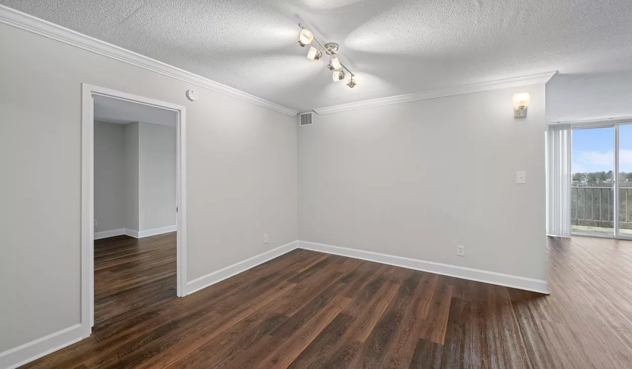 North Park - Chevy Chase, MD - Livingroom