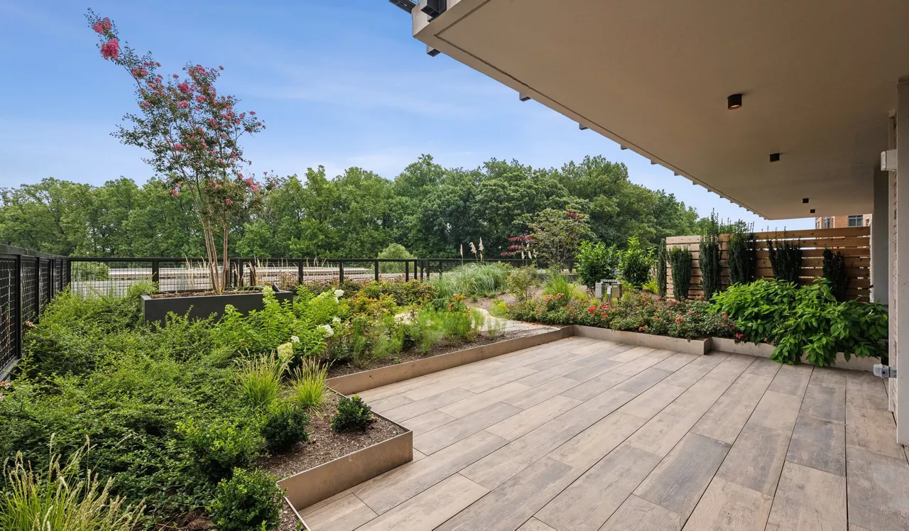 Ravel and Royale - Bethesda, MD - patio