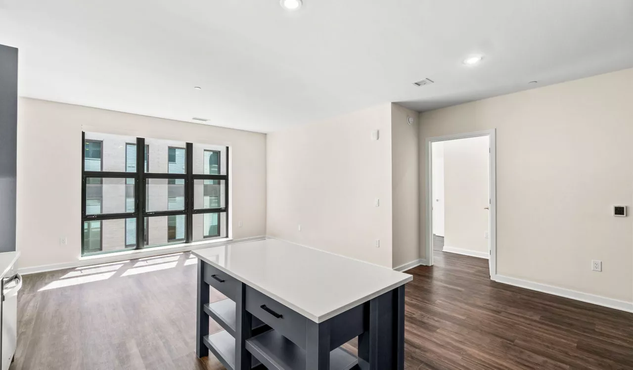 Upton Place - Washington DC -  Living Room