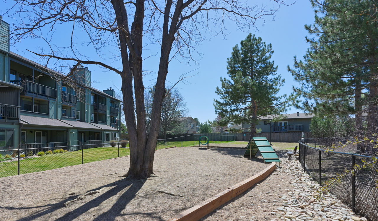 Verdant - Boulder, CO - dog park