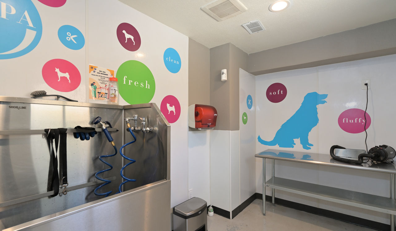 Verdant - Boulder, CO - dog wash