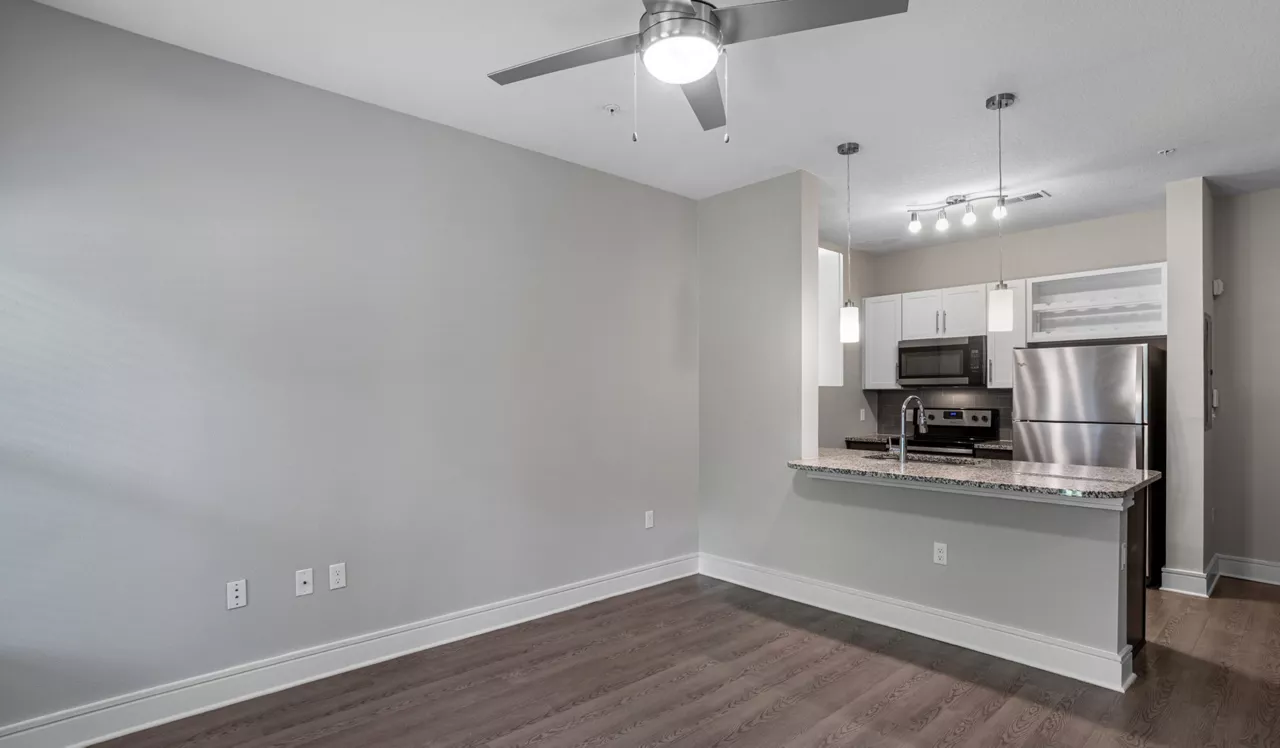 Vera - Jacksonville, FL - Living Room