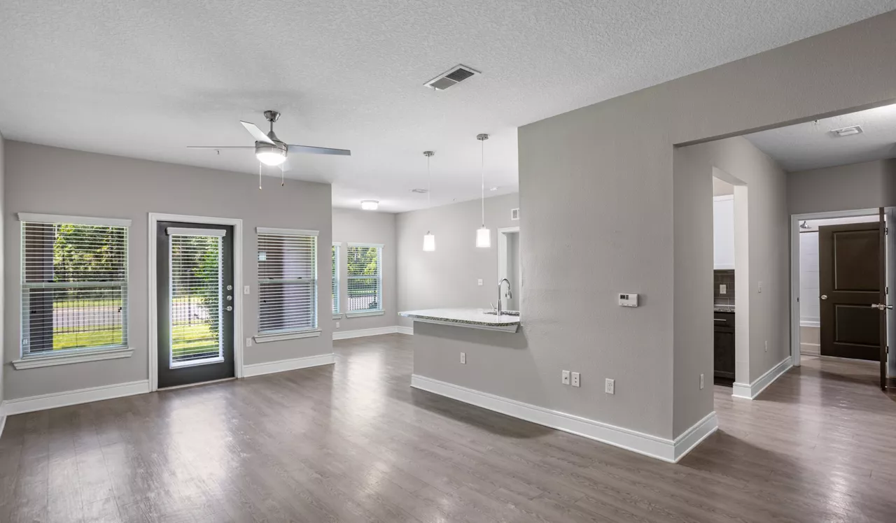 Vera - Jacksonville, FL - Living Room