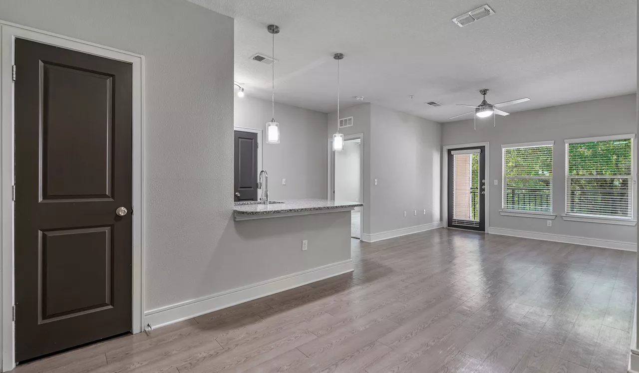 Vera - Jacksonville, FL - Living Room