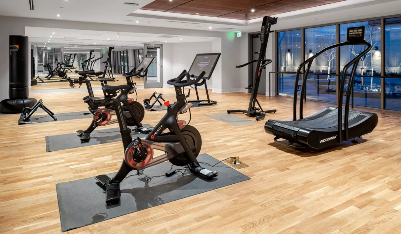 Parc Mosaic Gym