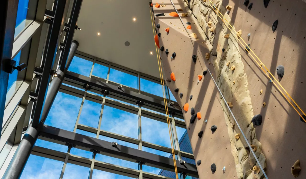 Rock Climbing Wall