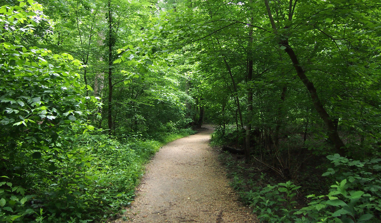Vaughan Place in Washington, DC - Glover Archbold Park
