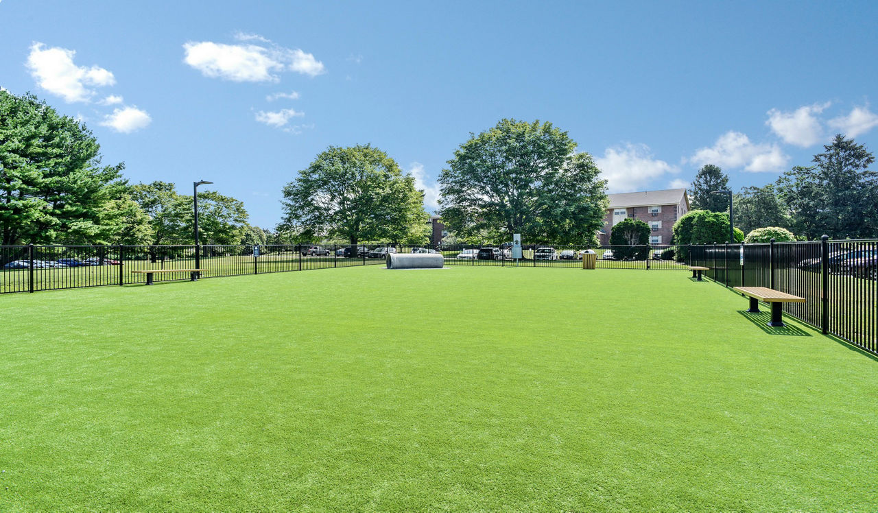 Waterford Village - Bridgewater, MA - Dog park