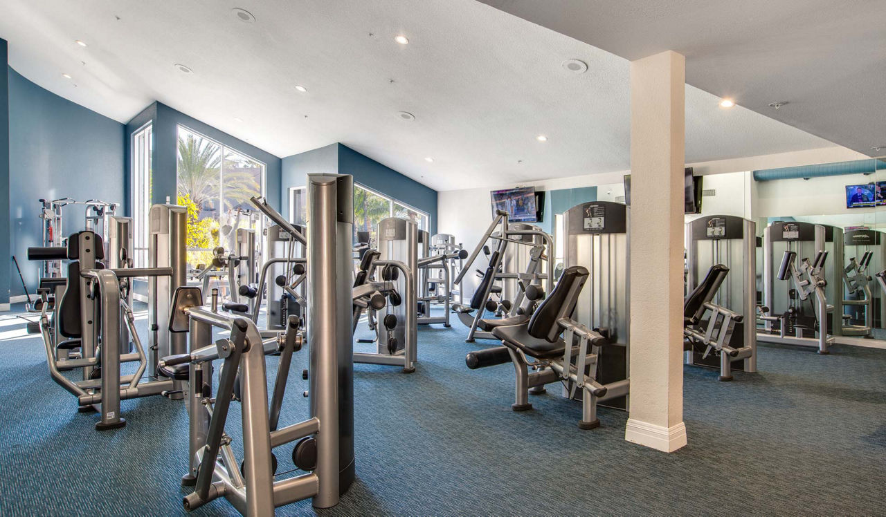 Gym at 3400 Avenue Of The Arts (4 of 4)