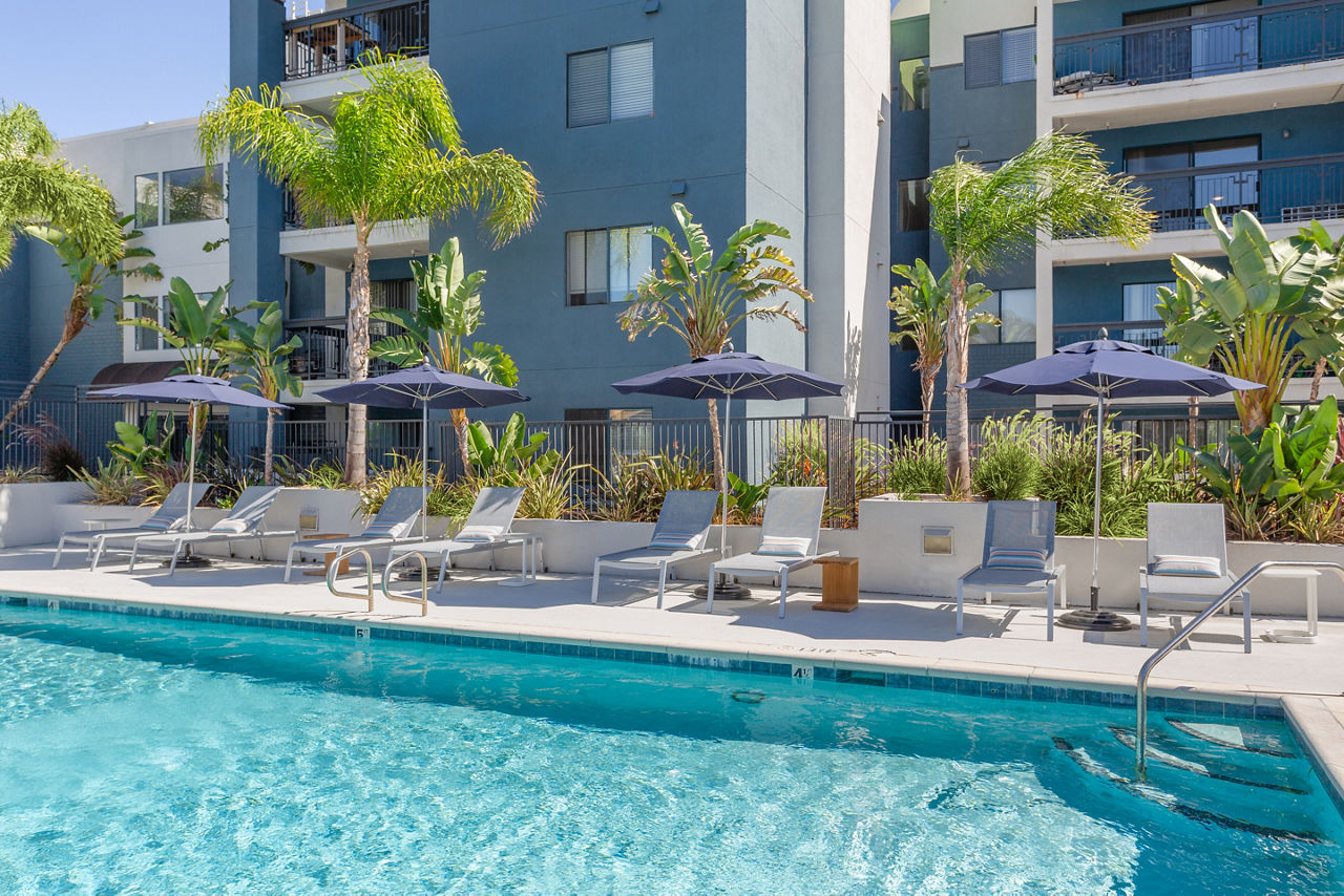 15Fifty5 - Walnut Creek, CA - Pool and lounge chairs