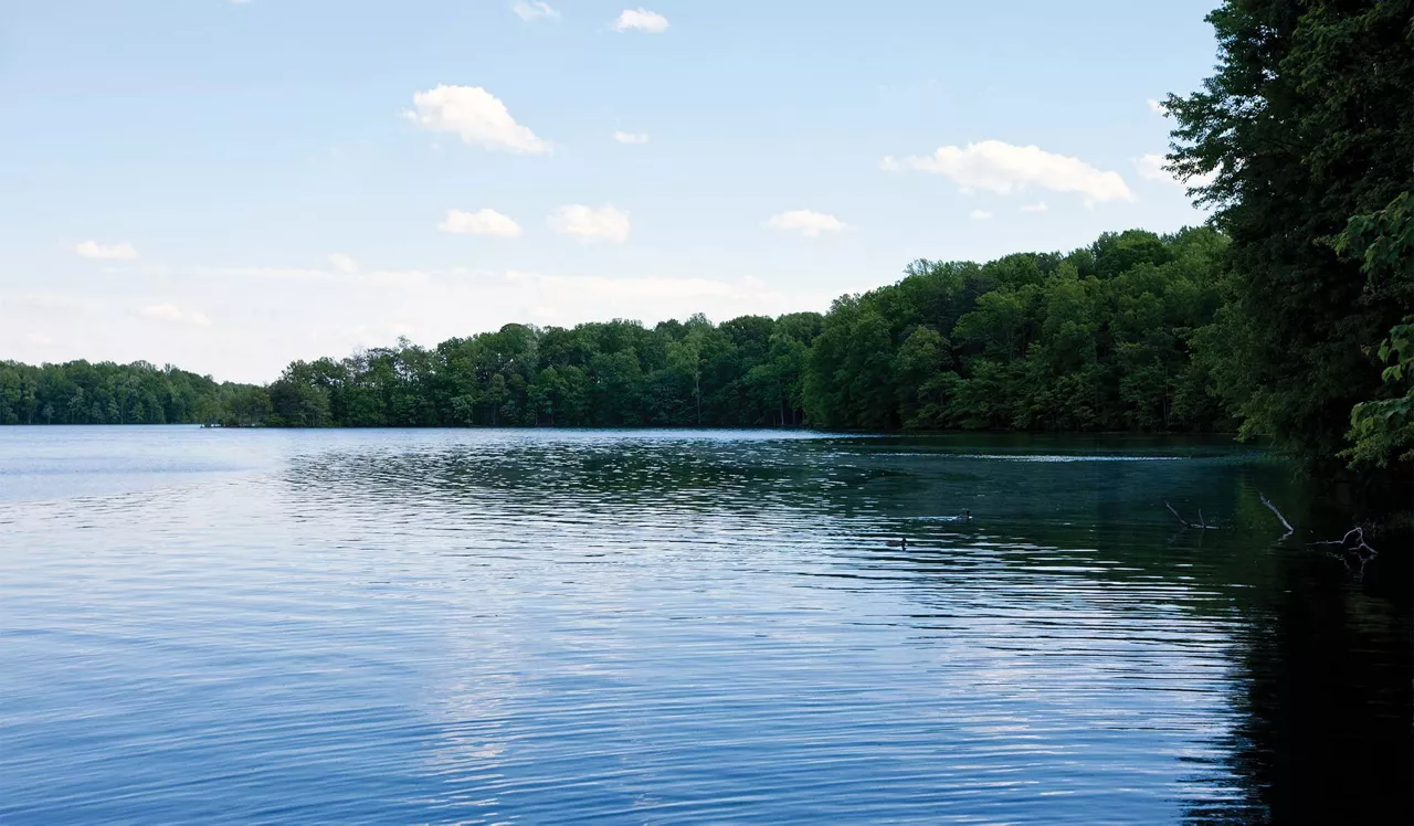 Bent Tree Apartments - Centreville, VA - Lake