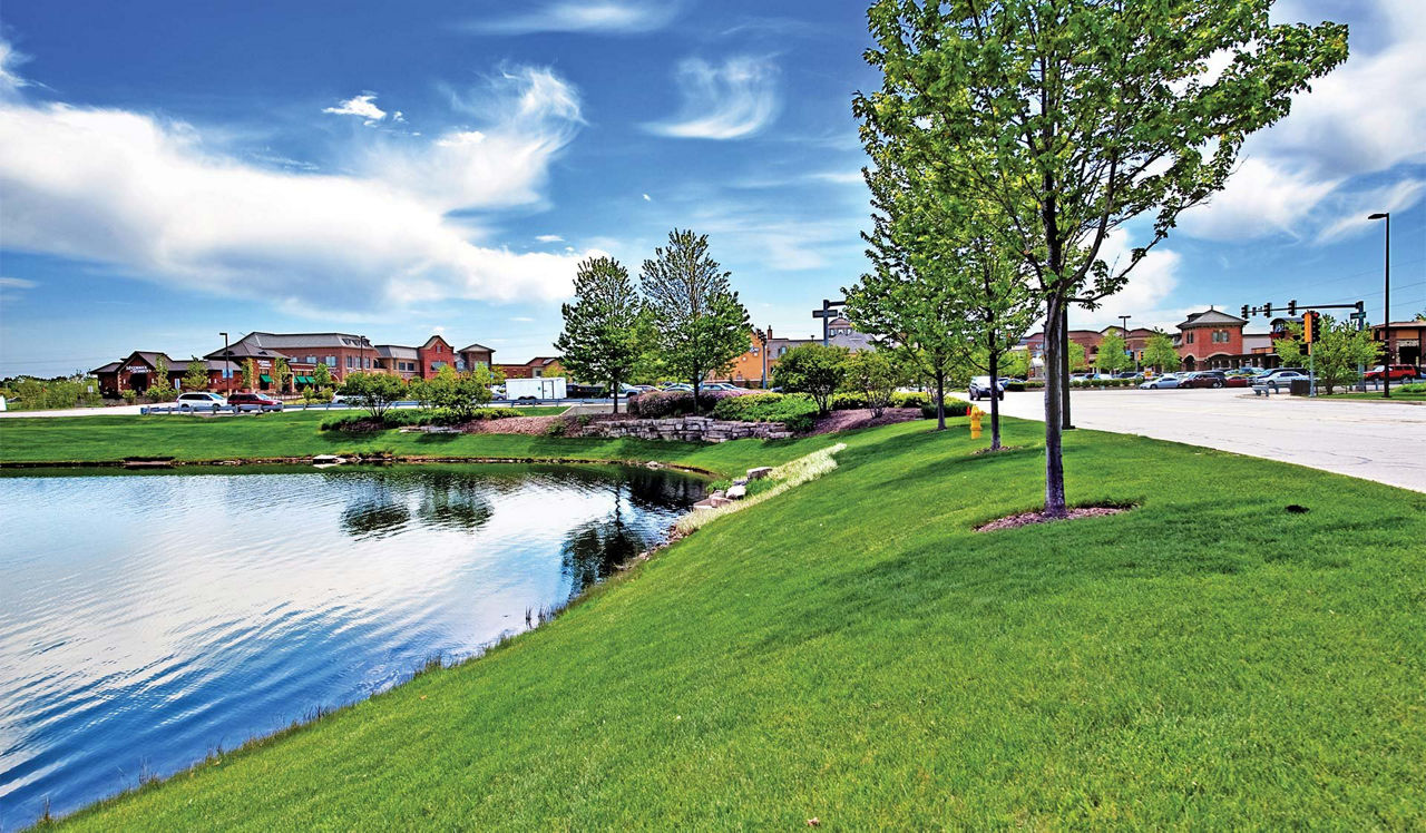 Eldridge Townhomes - Elmhurst, IL - Park