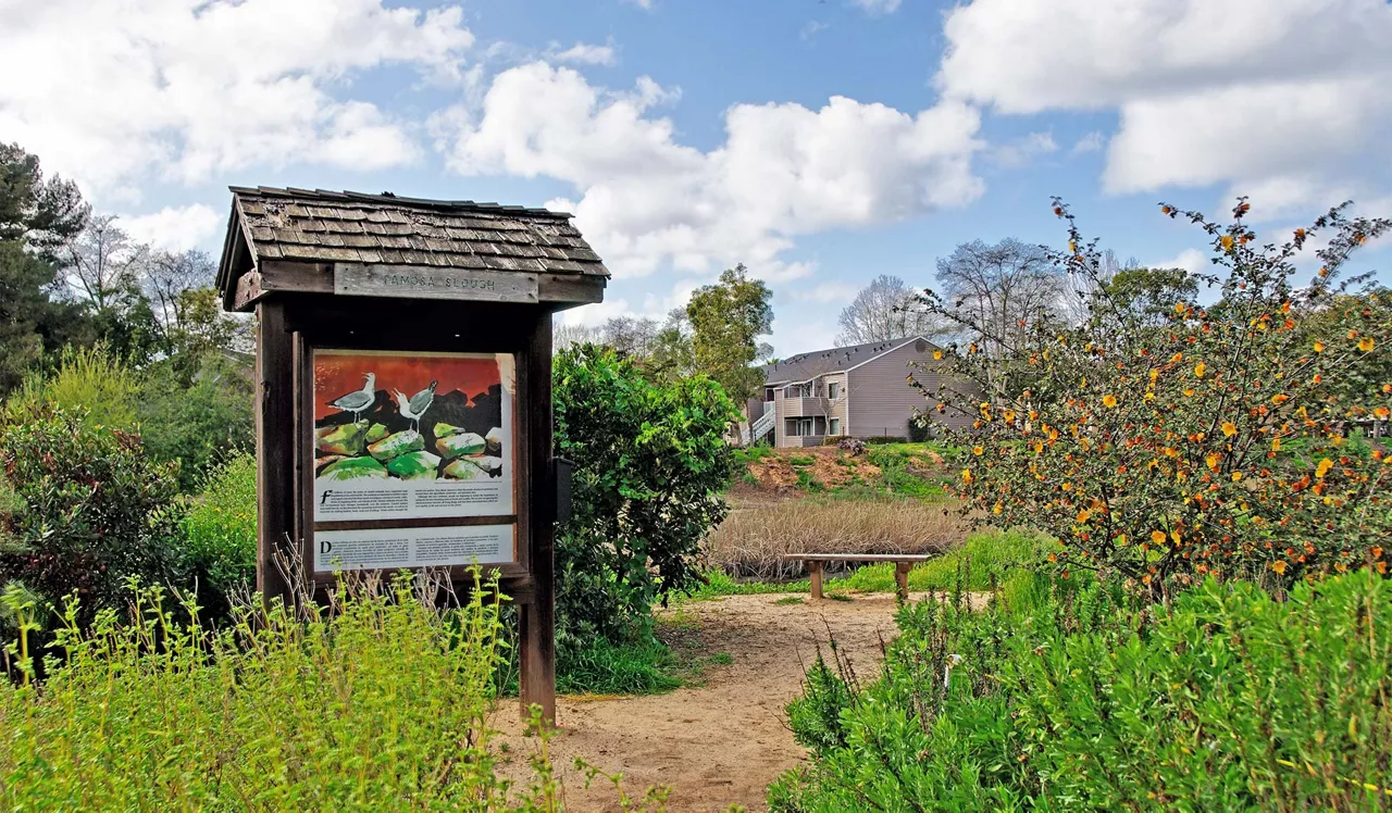 Mariners Cove Apartments - San Diego, CA - Walking Trails