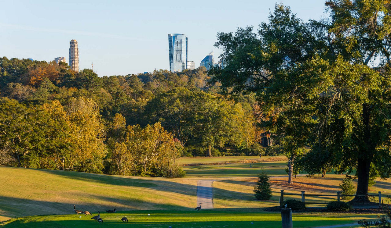 Tremont Apartments -  Buckhead, Atlanta, GA -  Golf Course