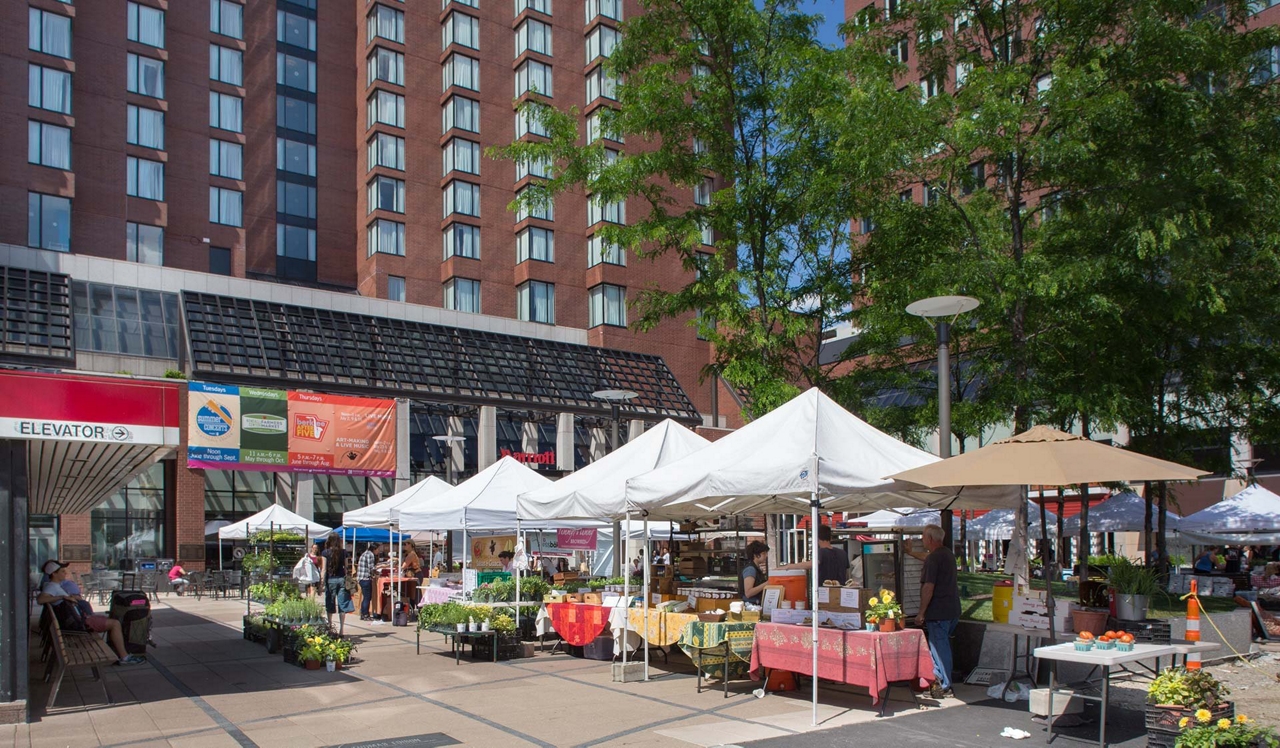 Vivo Apartments - Cambridge, MA - Farmer's Market.<div style="text-align: center;">&nbsp;</div>
<div style="text-align: center;">The Central Square Farmer’s Market is down Main Street just an 8-minute bike ride away.&nbsp;</div>
