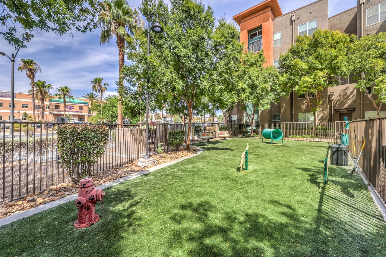 Dog park at Lofts at 7100