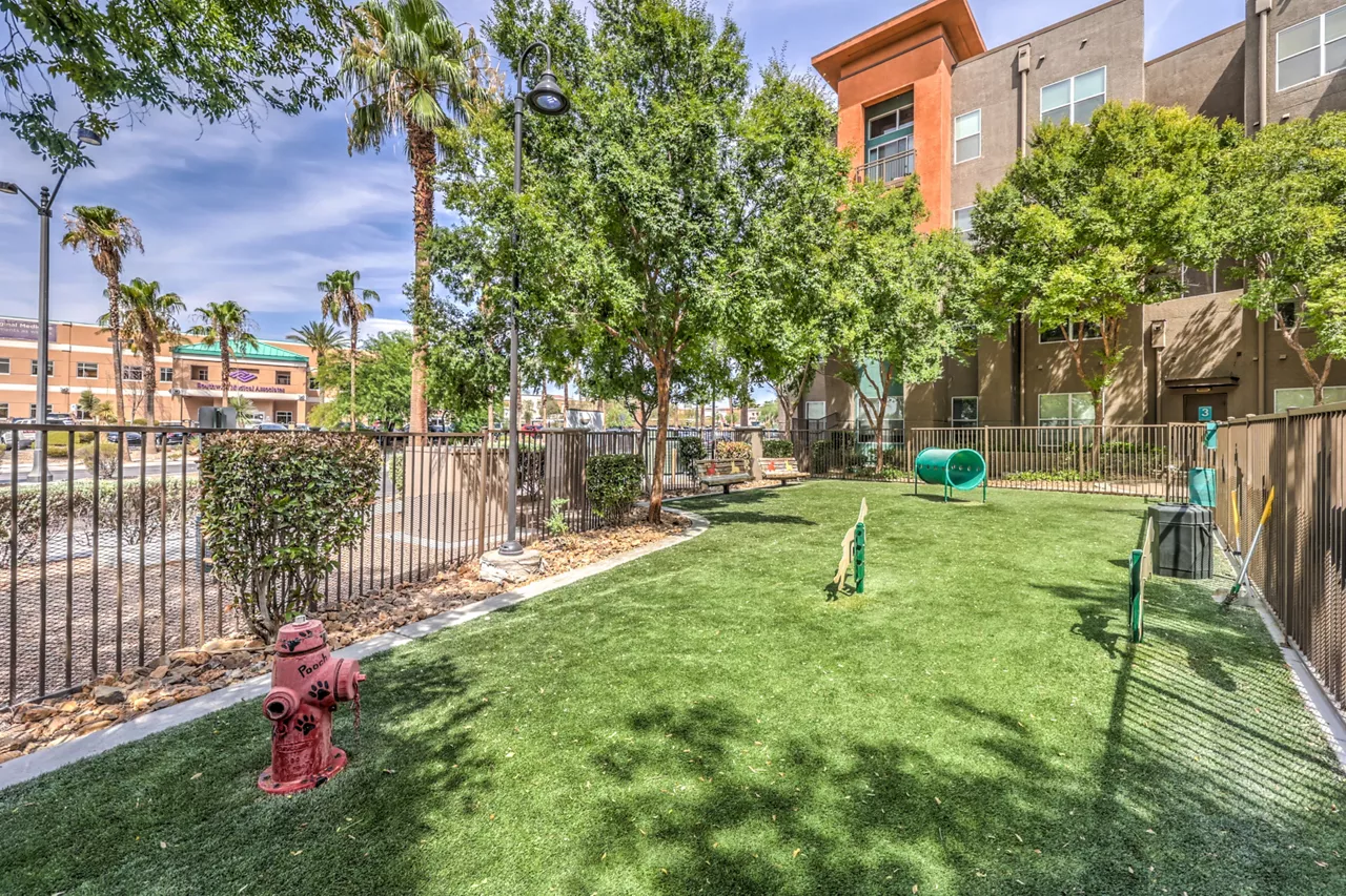 Lofts at 7100 in Las Vegas, NV - Dog Park