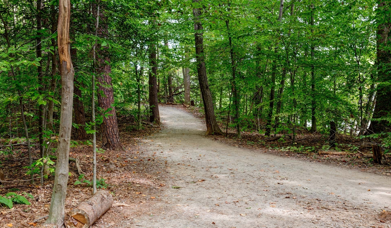 Burke Shire Commons - hiking trails.<p>&nbsp;</p>
<p style="text-align: center;">Nestled in a wooded area, surrounded by the Burke Centre Nature Trails just steps away.&nbsp;</p>
