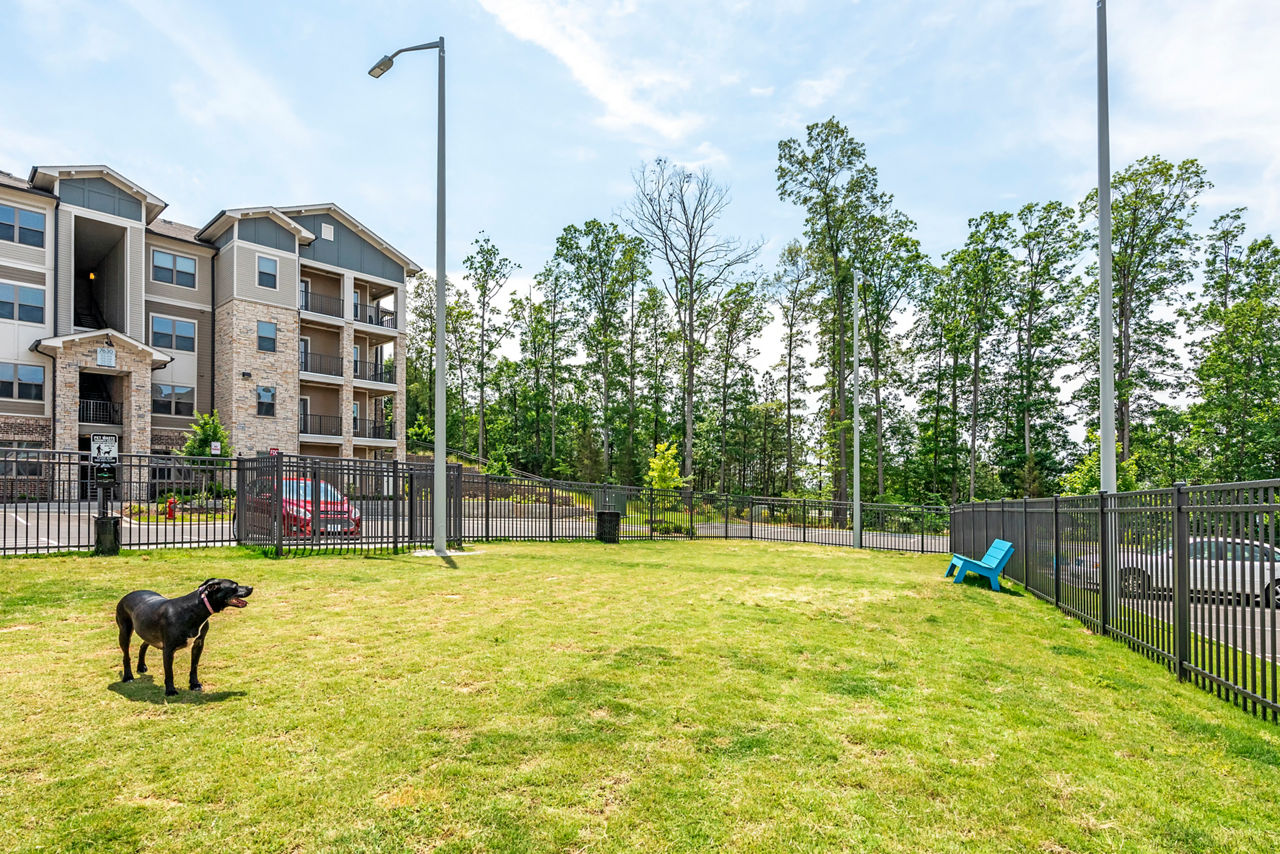 Windsor Falls - Raleigh, NC - Dog Park