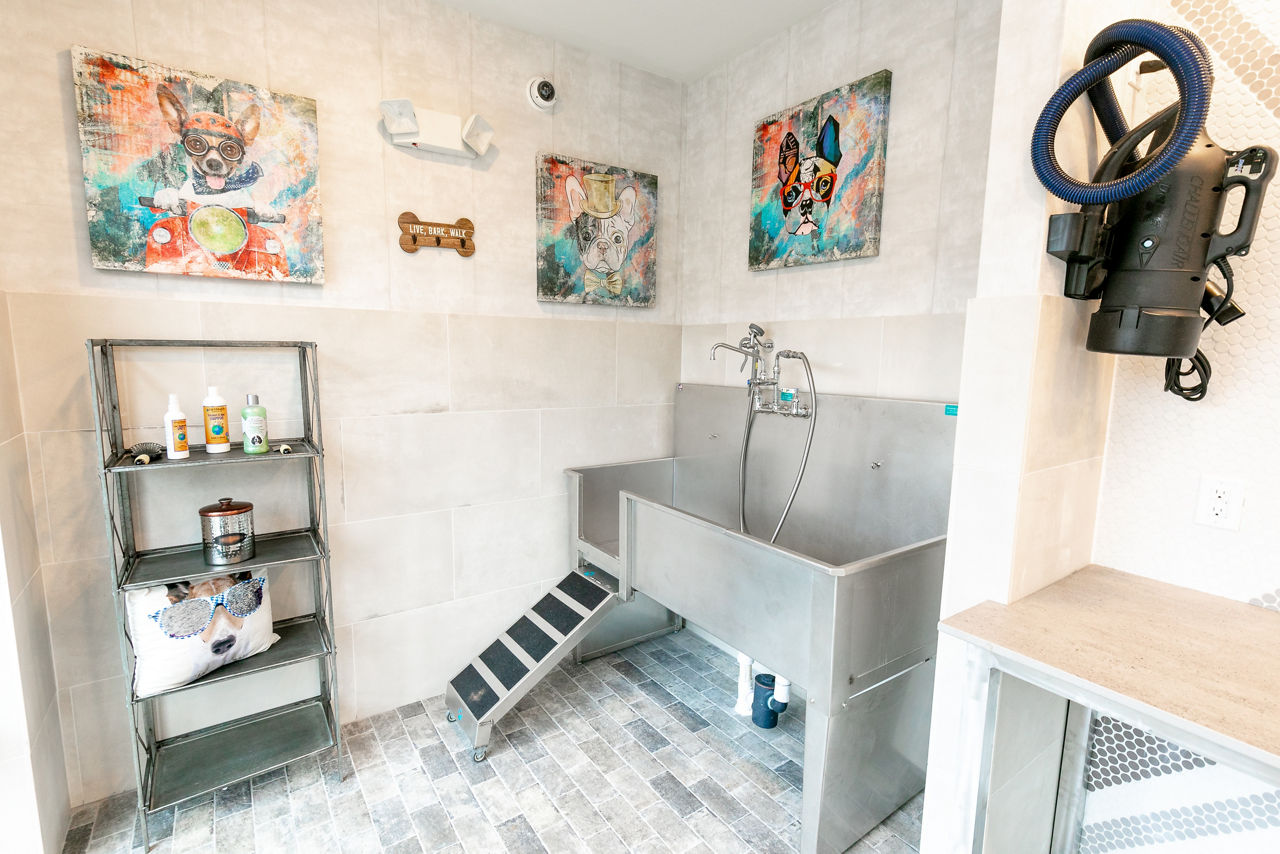 Windsor Falls - Raleigh, NC - Pet Wash