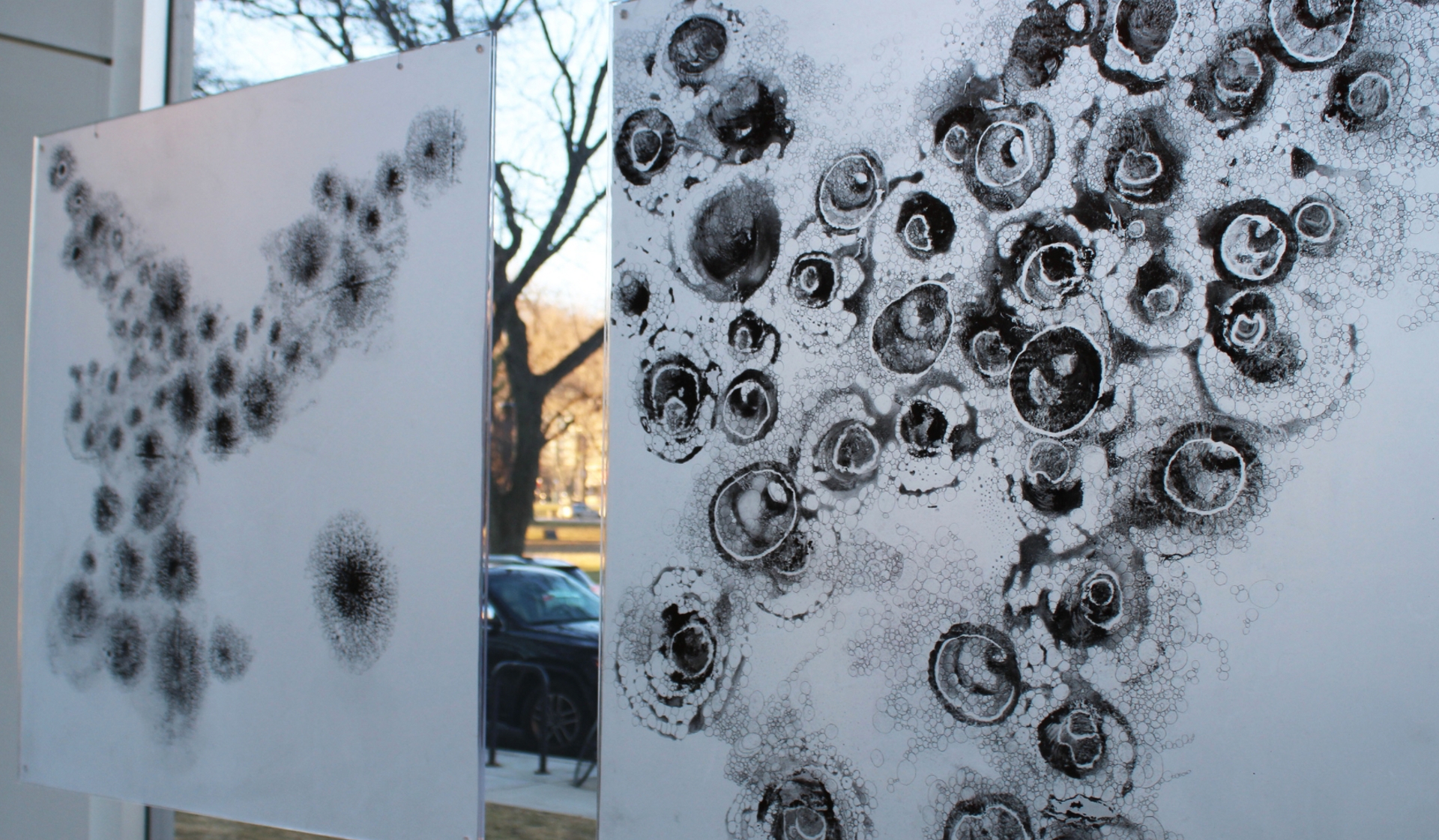 Art Exhibit