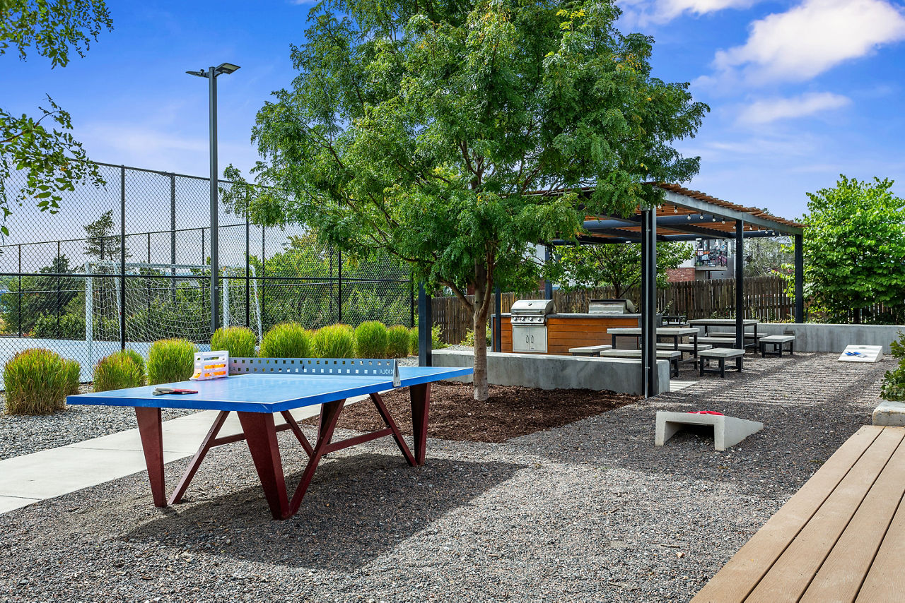 Avens Point - Thornton, CO - Ping Pong Table
