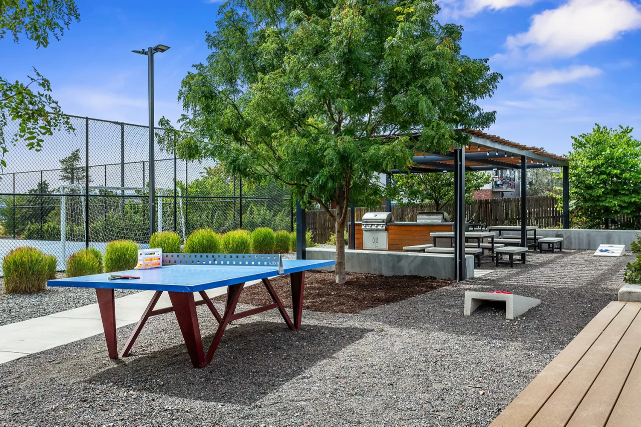 Avens Point - Thornton, CO - Ping Pong Table