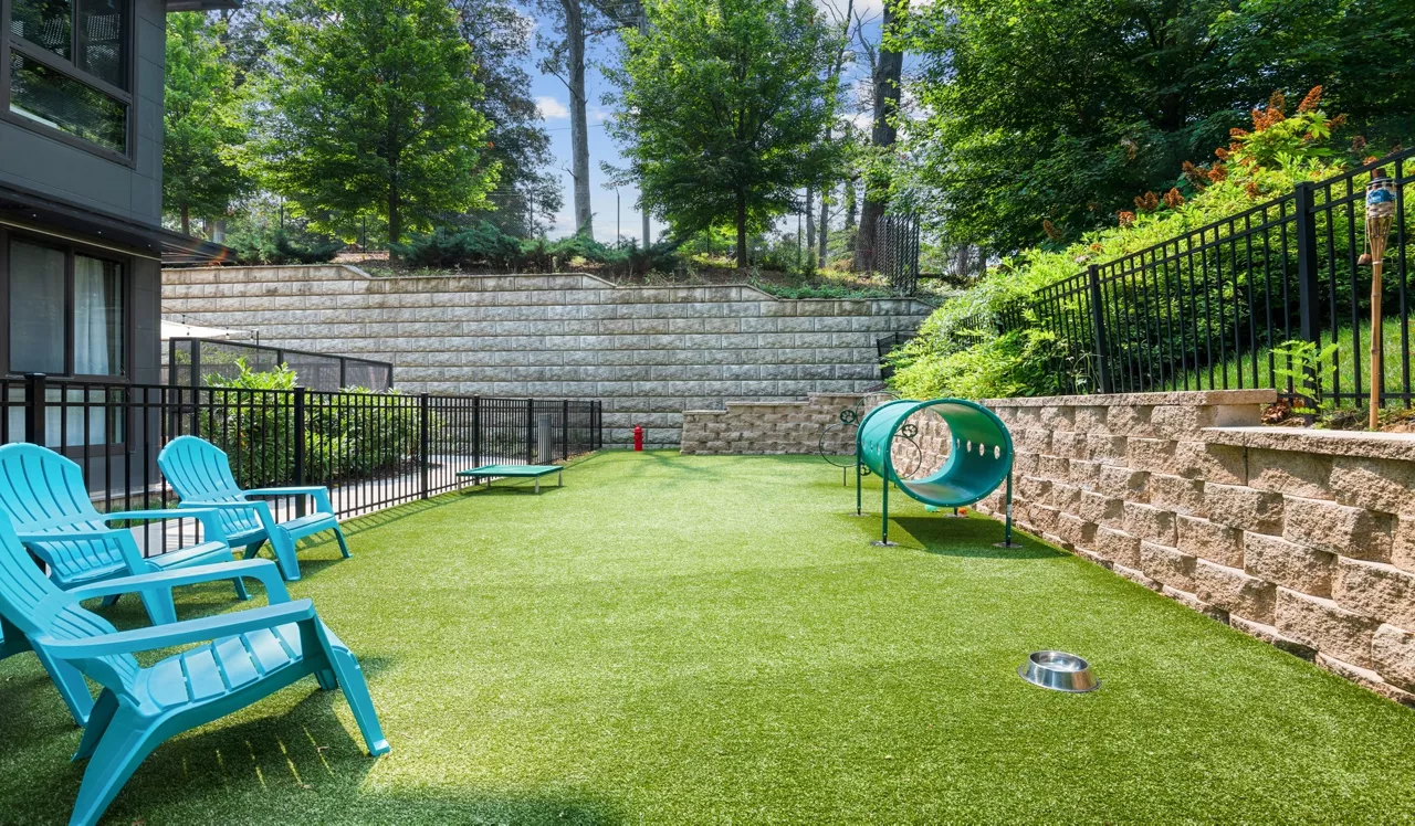 Avery Row - Arlington, VA - dog park