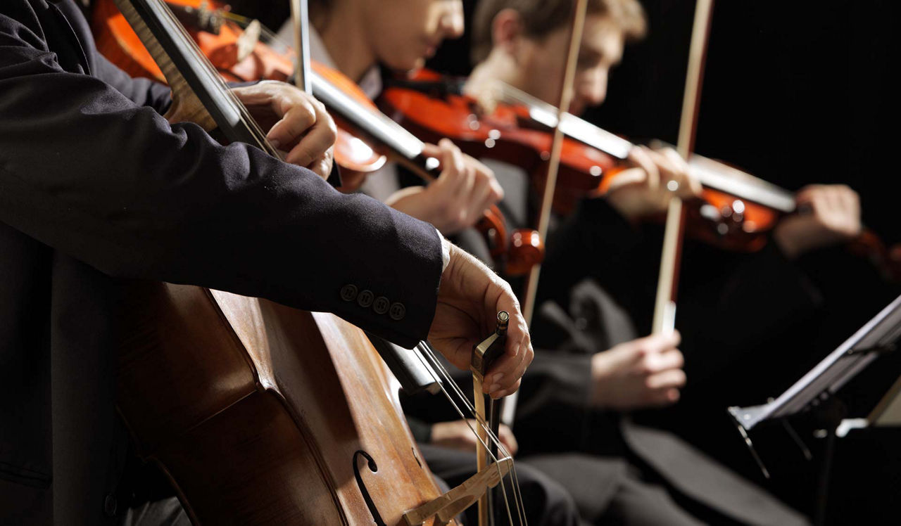 Bay Parc Apartments - Miami, FL - Adrienne Arsht Center