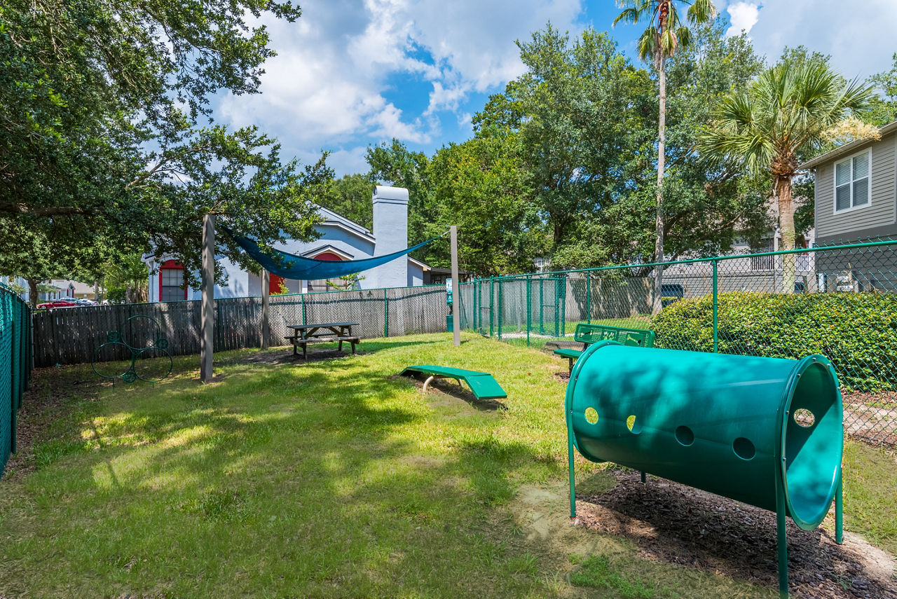 Dog park at Bay Club
