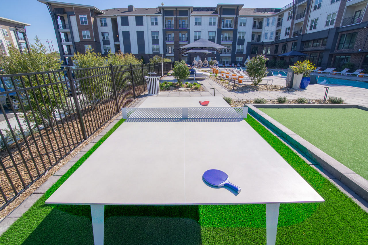 Brea Wendell Falls - Ping Pong