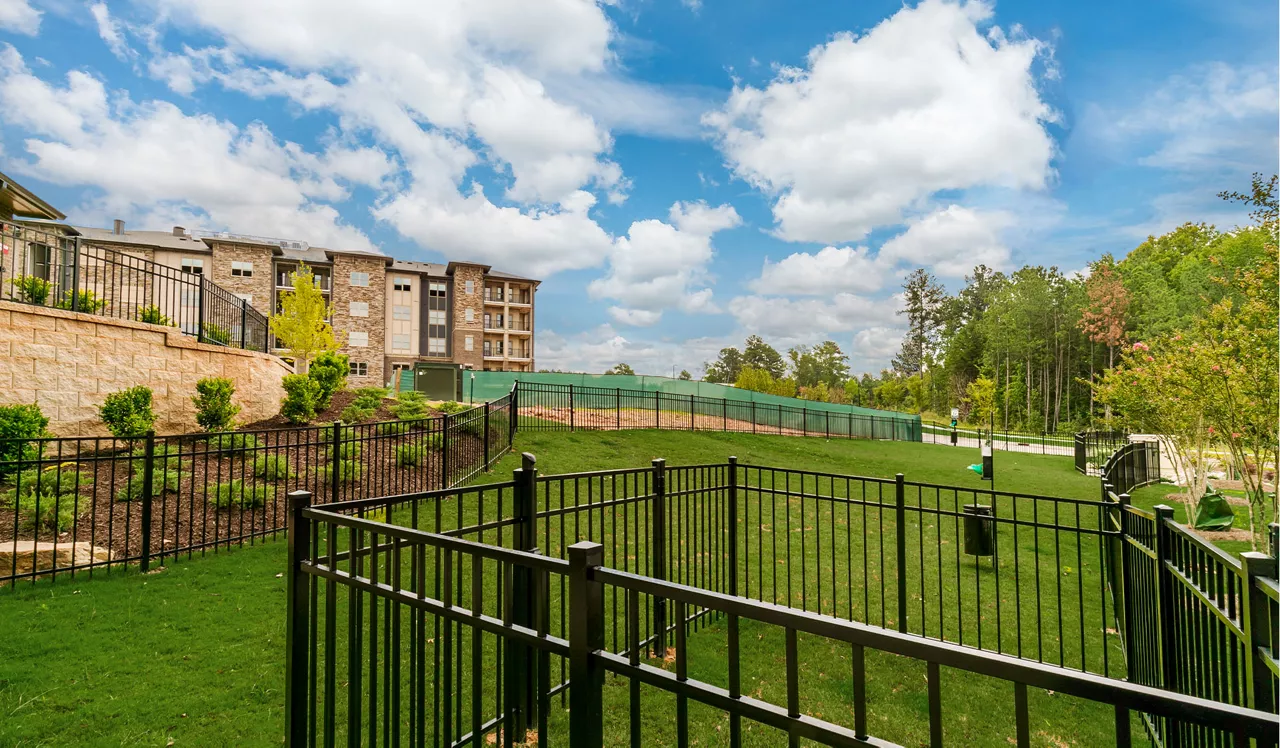 Brizo - Durham, NC - Dog Park