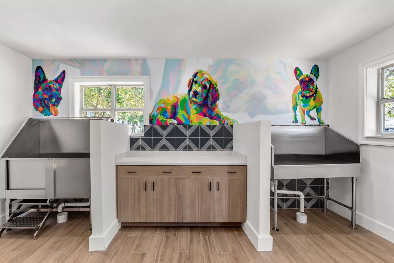 Pet Wash Station