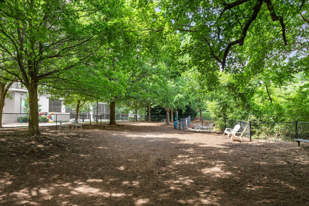 Park & Market - Raleigh, NC - Dog Park