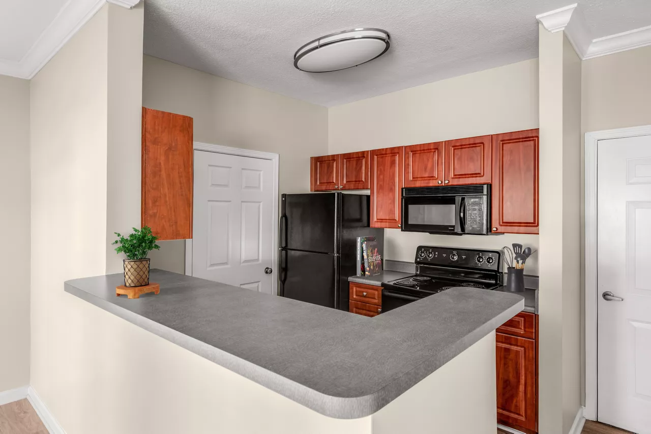 The Brooke - Atlanta, GA - Kitchen