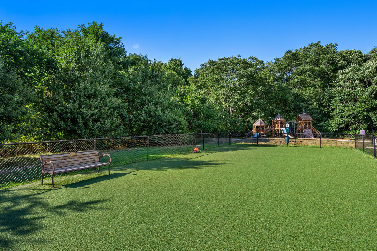 River Birch at Watertown - Watertown, MA - Pet Park