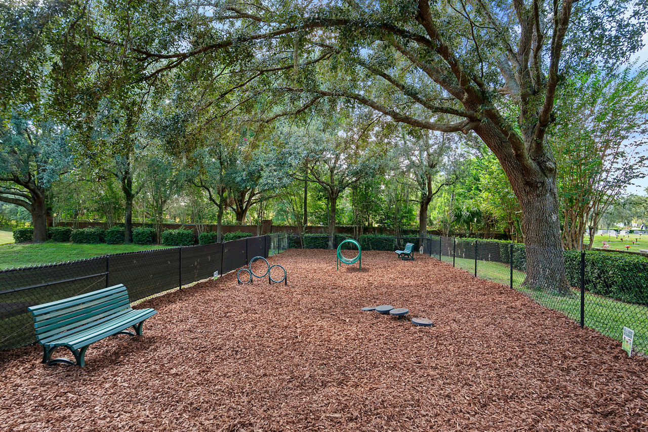 Dog park at Solace Timacuan