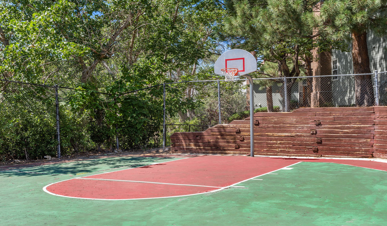 Arcadia - Centennial, CO - Basketball