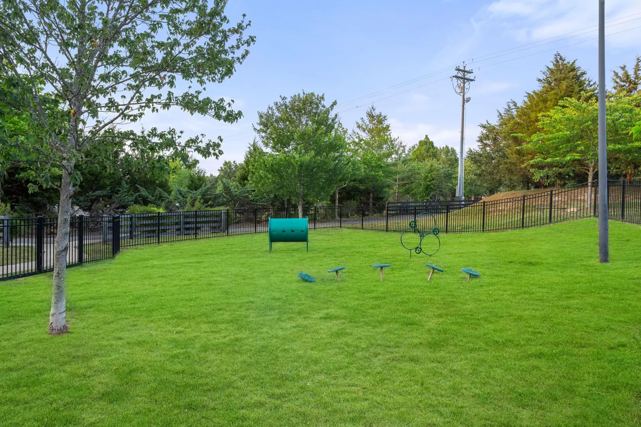 Dog Park