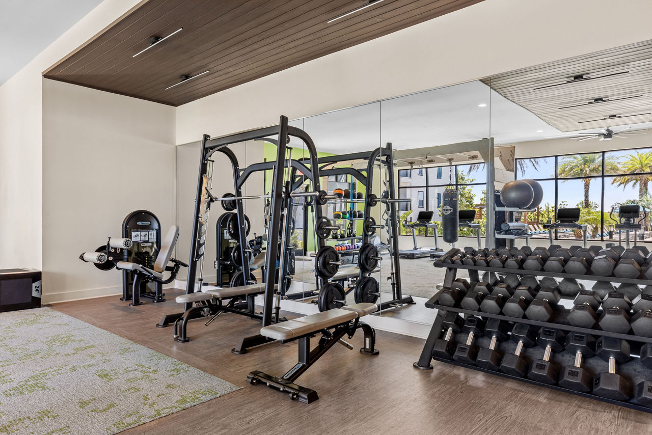 Gym at Lirio at Rafina (2 of 2)