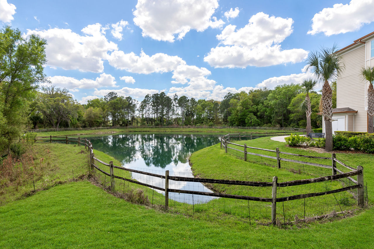Horizon at Wiregrass Ranch 5 of 12
