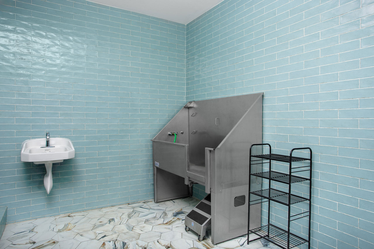 The Lofts at Highlands - Longmont, CO - Pet Spa