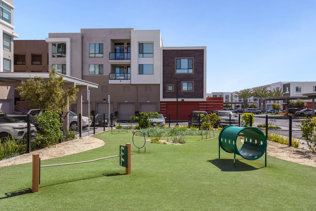 The Avalyn - Chula Vista, CA - Dog Park